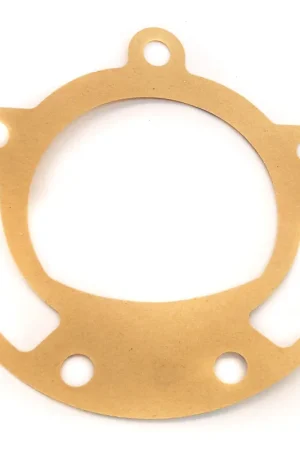 Today Only Pump Gasket