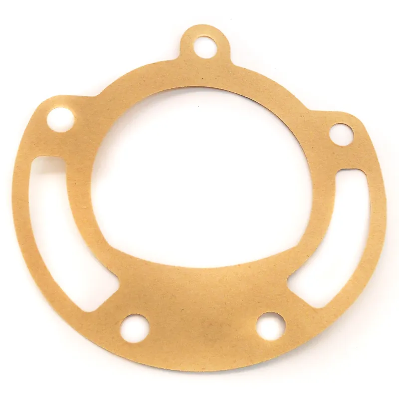 Today Only Pump Gasket