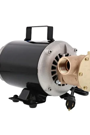 Pump with Motor 1 Affordable