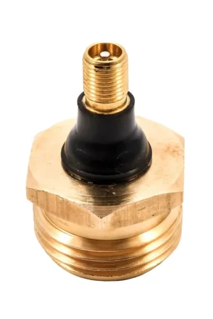 Final Sale Brass Blow Out Plug with Schrader Valve