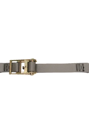 CargoBuckle Multipurpose Ratchet Strap Tie-Down w/S-Hooks - 2" x 15 [F13758] Special Offer