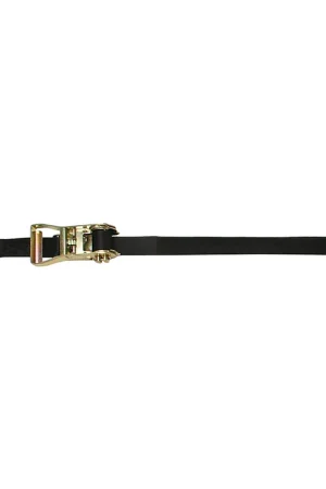 CargoBuckle Ratchet Strap Tie-Down w/Double J-Hooks Keeper - 1" x 12 [F14060] Get Yours