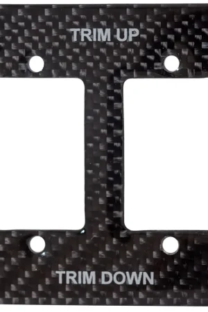 Cheap Dual Carbon Fiber Trim Switch Panel Only