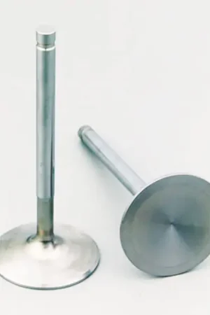 Stainless Steel Intake Valves Buy Direct