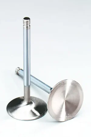 Free Returns Stainless Steel Intake Valves